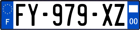FY-979-XZ