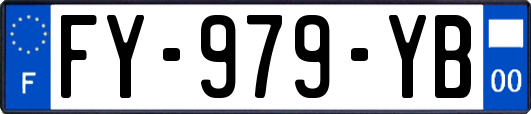 FY-979-YB