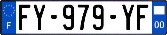 FY-979-YF