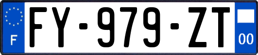 FY-979-ZT