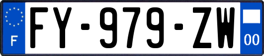 FY-979-ZW