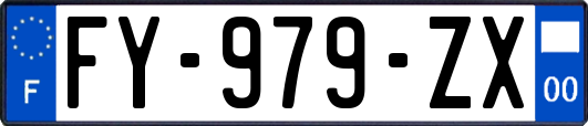 FY-979-ZX