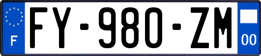 FY-980-ZM