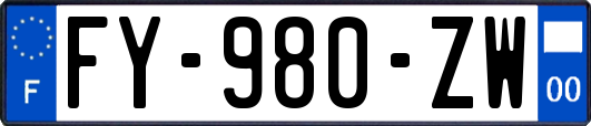 FY-980-ZW