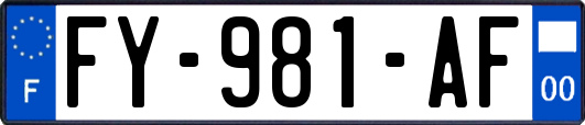 FY-981-AF
