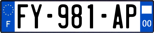 FY-981-AP