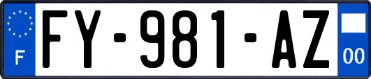 FY-981-AZ
