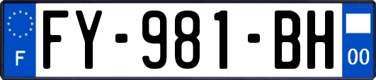 FY-981-BH