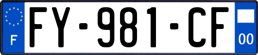 FY-981-CF