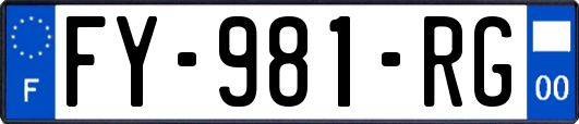 FY-981-RG