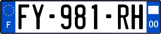 FY-981-RH