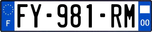FY-981-RM