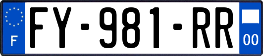 FY-981-RR