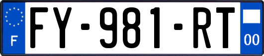 FY-981-RT