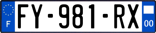 FY-981-RX