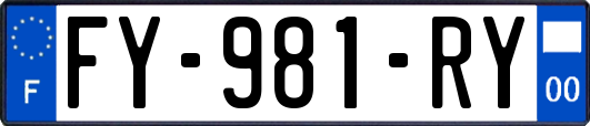 FY-981-RY