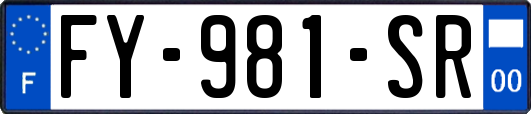 FY-981-SR