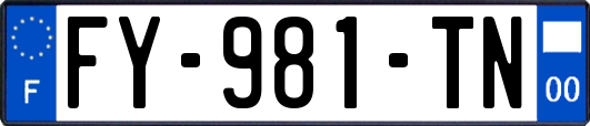 FY-981-TN