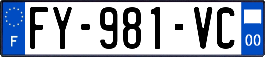 FY-981-VC