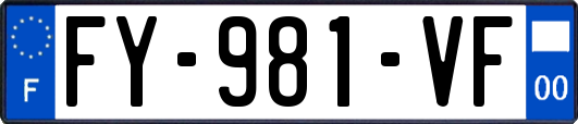 FY-981-VF
