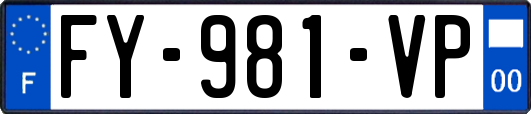 FY-981-VP