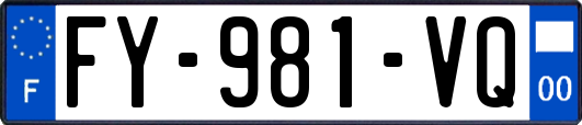 FY-981-VQ