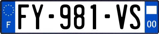 FY-981-VS