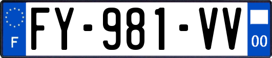 FY-981-VV