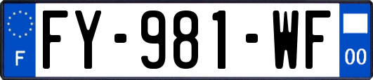 FY-981-WF
