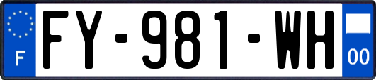 FY-981-WH