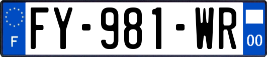 FY-981-WR