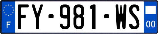 FY-981-WS