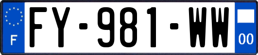 FY-981-WW