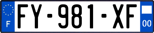 FY-981-XF