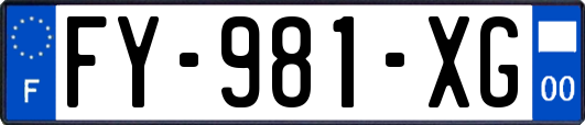 FY-981-XG