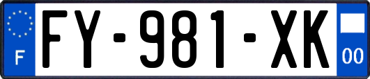 FY-981-XK