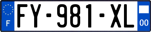 FY-981-XL