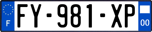 FY-981-XP