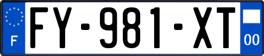 FY-981-XT