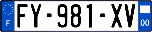 FY-981-XV