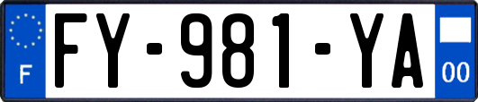 FY-981-YA