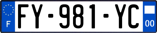 FY-981-YC