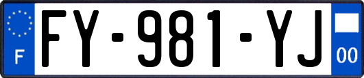 FY-981-YJ