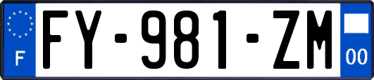 FY-981-ZM