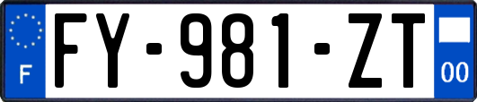 FY-981-ZT