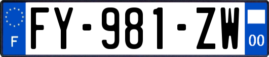 FY-981-ZW