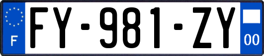 FY-981-ZY