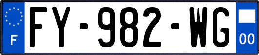 FY-982-WG