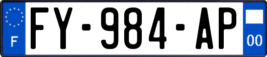 FY-984-AP