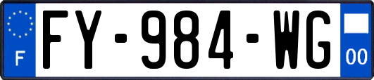 FY-984-WG